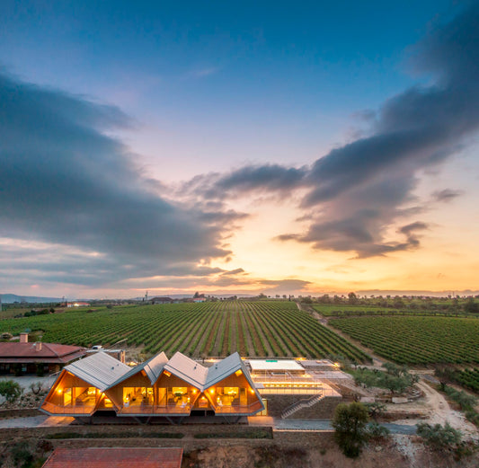 Quinta da Faísca Wine Tasting Experiences