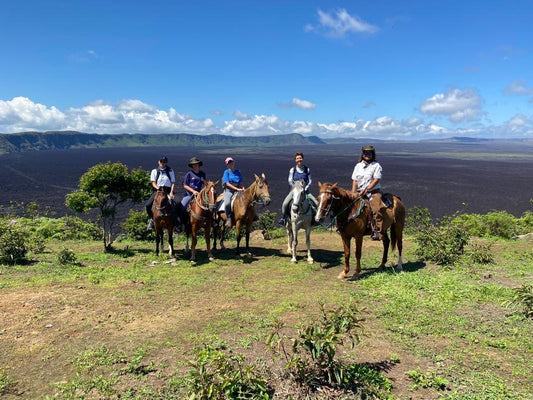 Isabela: Nature Horseback Ride + Pick-up & Optional Lunch
