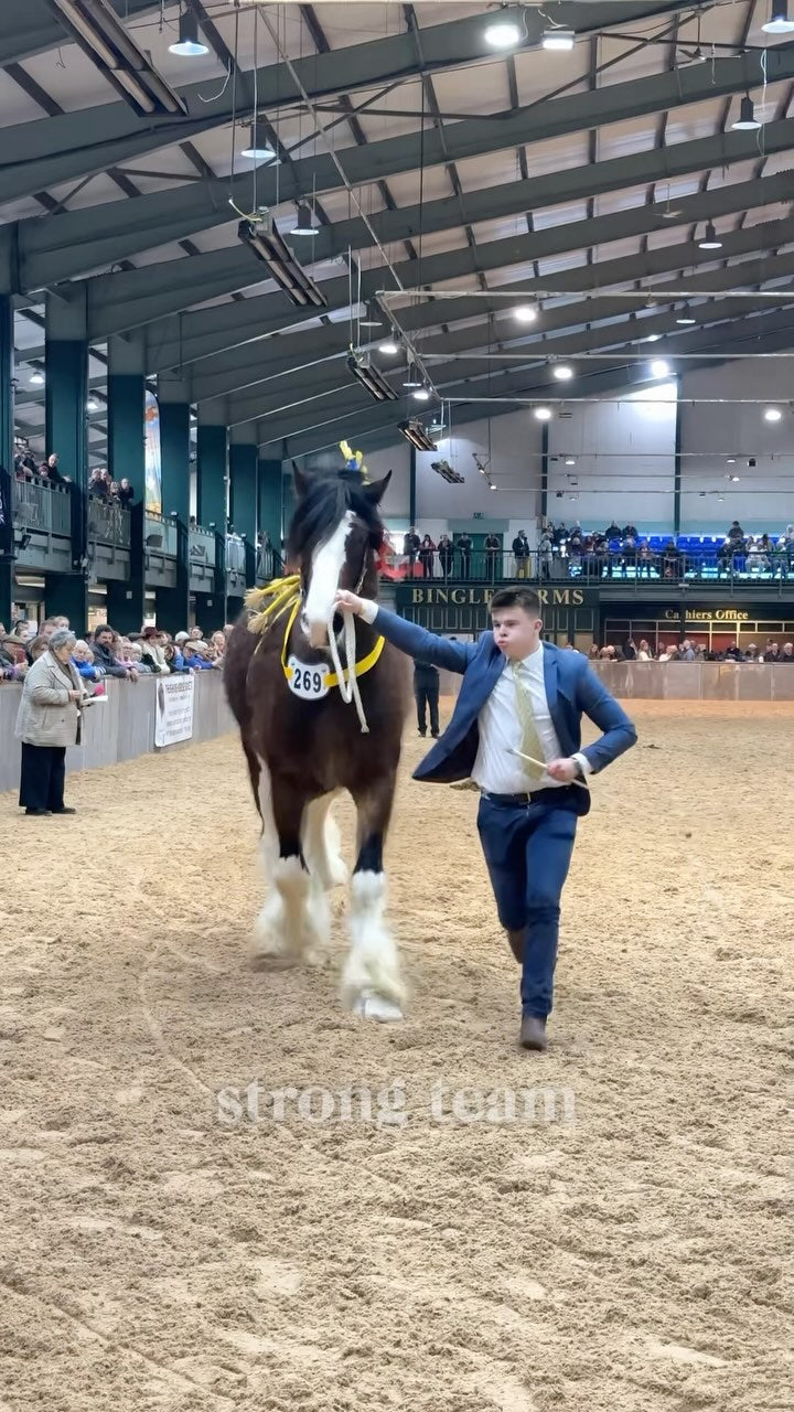 Chester: A Heartwarming Shire Horse Day + Souvenir & Pick-up Available