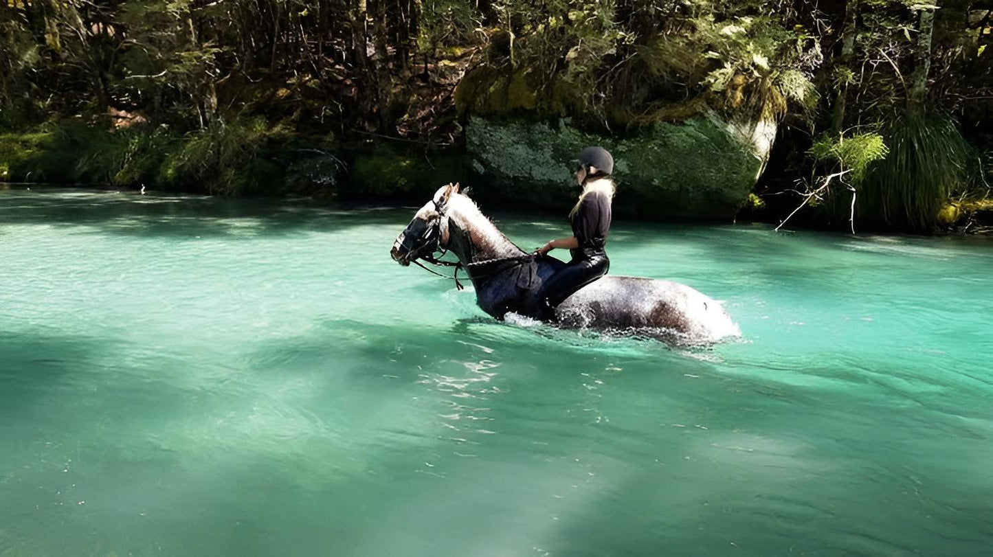 Glenorchy: Wanderlust Horseback Ride Trail + Pick-up Available