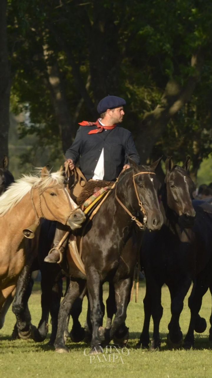 San Antonio de Areco: Private Ride & Feast Full Package Horseback Journey