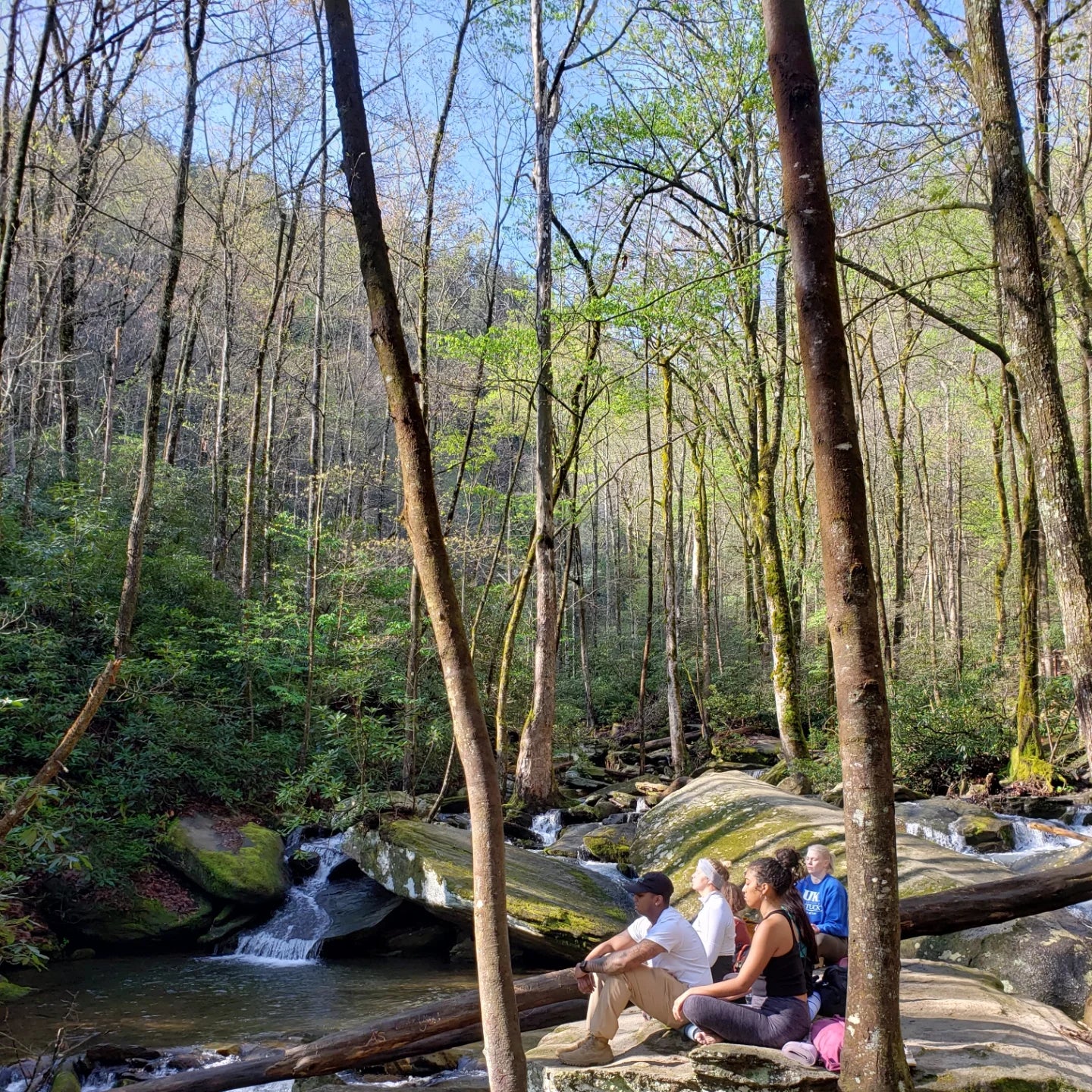 Asheville: Mindful Movement Micro-Retreats + Pick-up Available