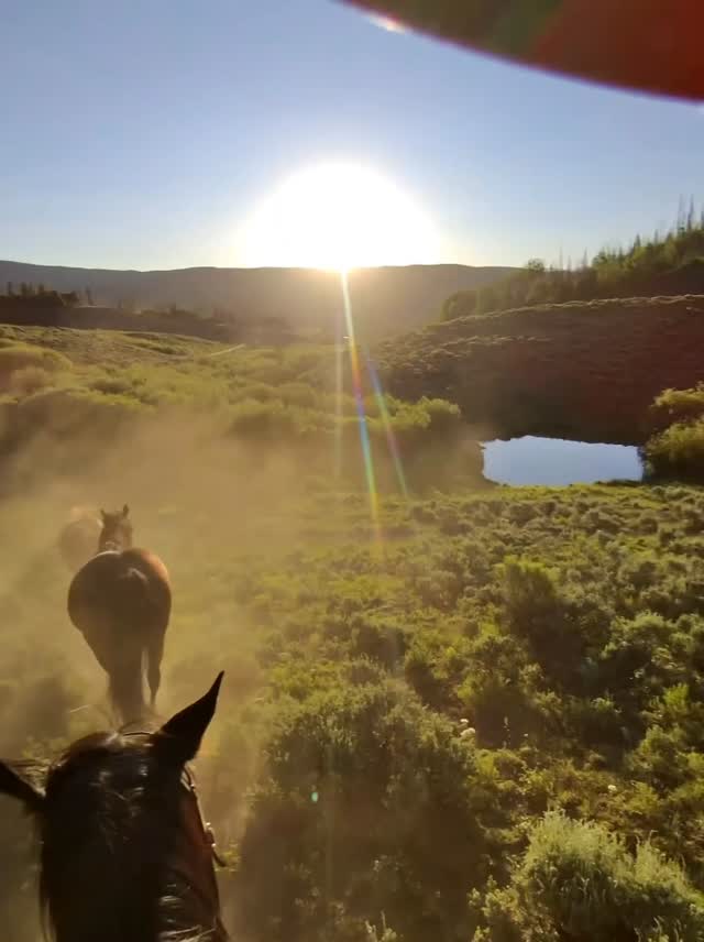 Granby: Rocky Mountain High-Lope Adventure + Pick-up Available