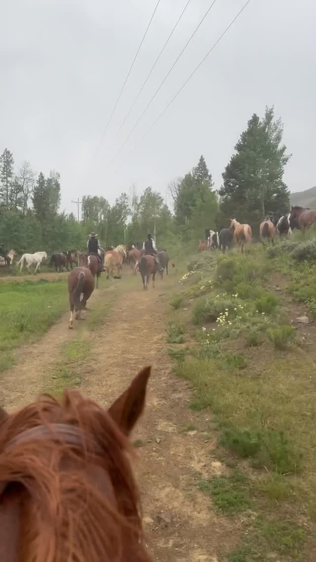 Granby: Rocky Mountain High-Lope Adventure + Pick-up Available