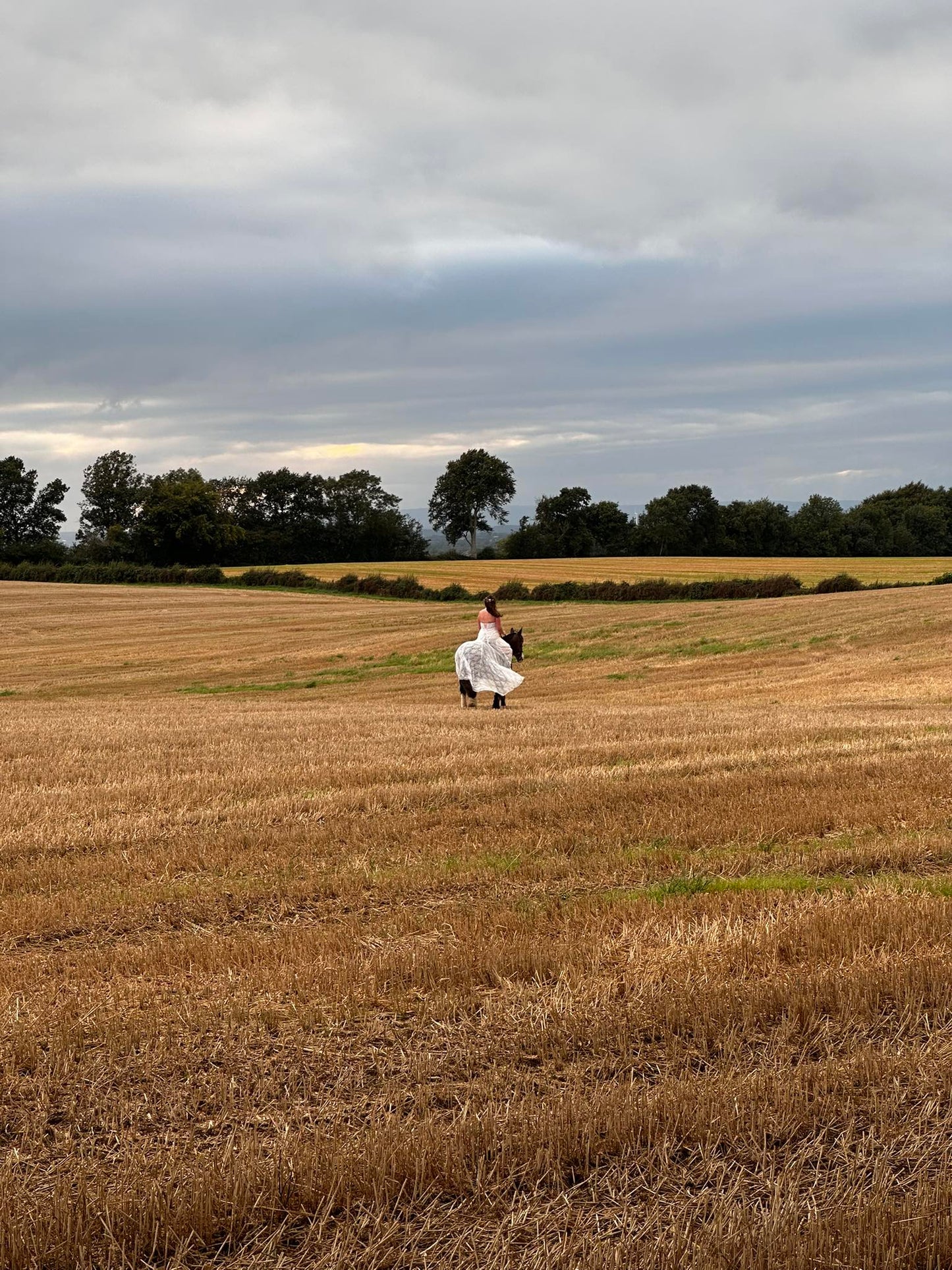 Limavady: Private Countryside Horseback Ride + Pick-up Available + Tea & Biscuits