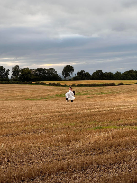 Limavady: Private Countryside Horseback Ride + Pick-up Available + Tea & Biscuits