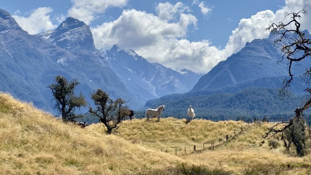 Glenorchy: Wanderlust Horseback Ride Trail + Pick-up Available