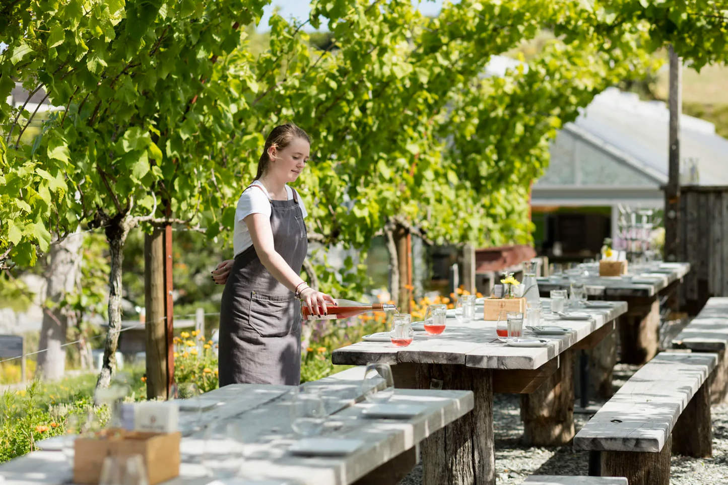 Auckland: Horseback Riding Through Vines with Wine & Dine