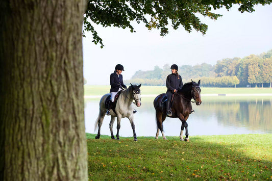 Versailles on Horseback