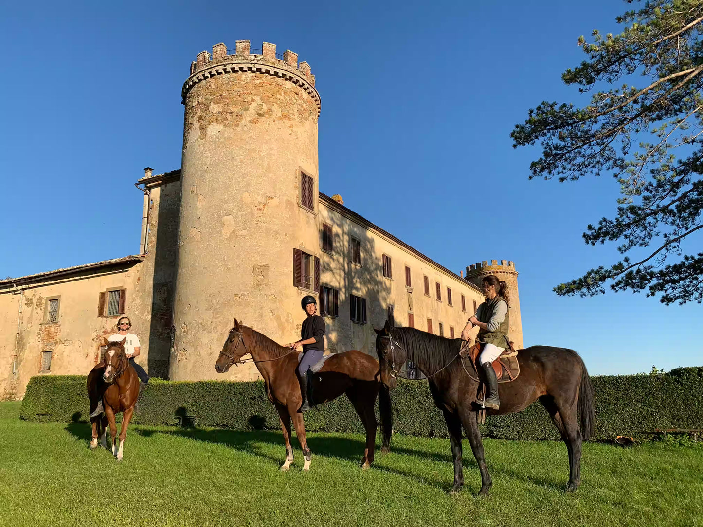 Brockenhurst: Thrill Horizons Horseback Ride & Feast + Pick-Up Available