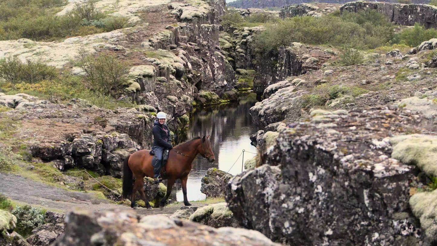Brockenhurst: Thrill Horizons Horseback Ride & Feast + Pick-Up Available