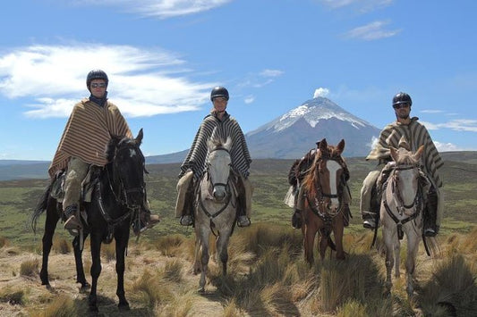 Quito: Highland Horseback Ride + Hot Drinks + Optional Lunch + Pick-up & Drop-off