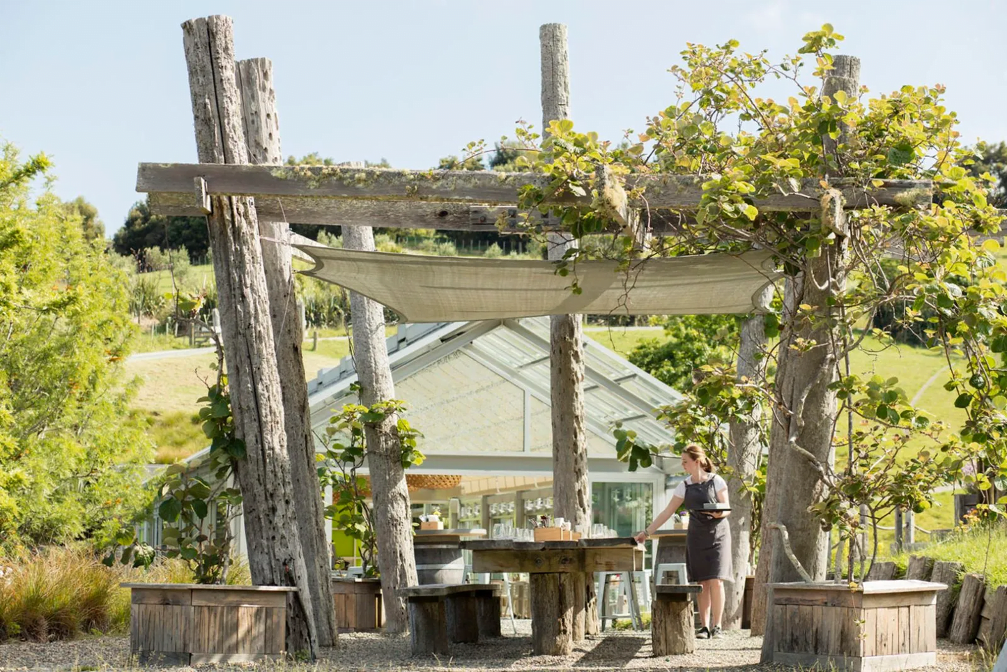 Auckland: Horseback Riding Through Vines with Wine & Dine