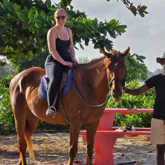 Brighton Beach, Barbados: 1.5-Hour Beach Ride & Swim with Horses + Picnic