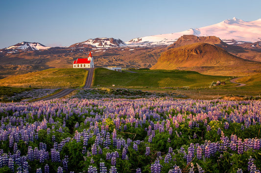 Reykjavík: Wheels of Wonder Breathtaking Landscapes + Pick-up Available