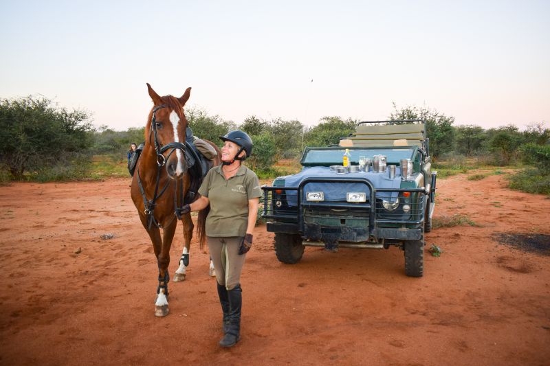 Western Cape: Thundering Hooves Horseback Ride + Brunch + Pick-Up Available