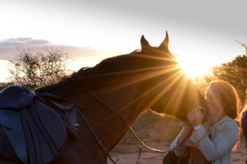Western Cape: Thundering Hooves Horseback Ride + Brunch + Pick-Up Available