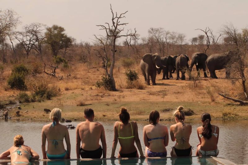 Western Cape: Thundering Hooves Horseback Ride + Brunch + Pick-Up Available