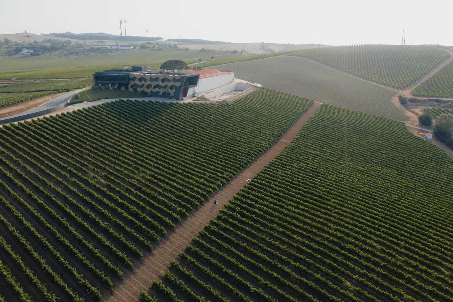 From Lisbon: Jeep Adventure + Wine Tasting + Tapas + Pick up