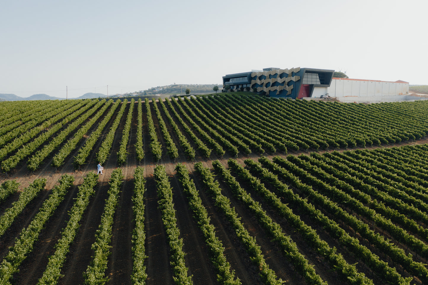 From Lisbon: Jeep Adventure + Wine Tasting + Tapas + Pick up