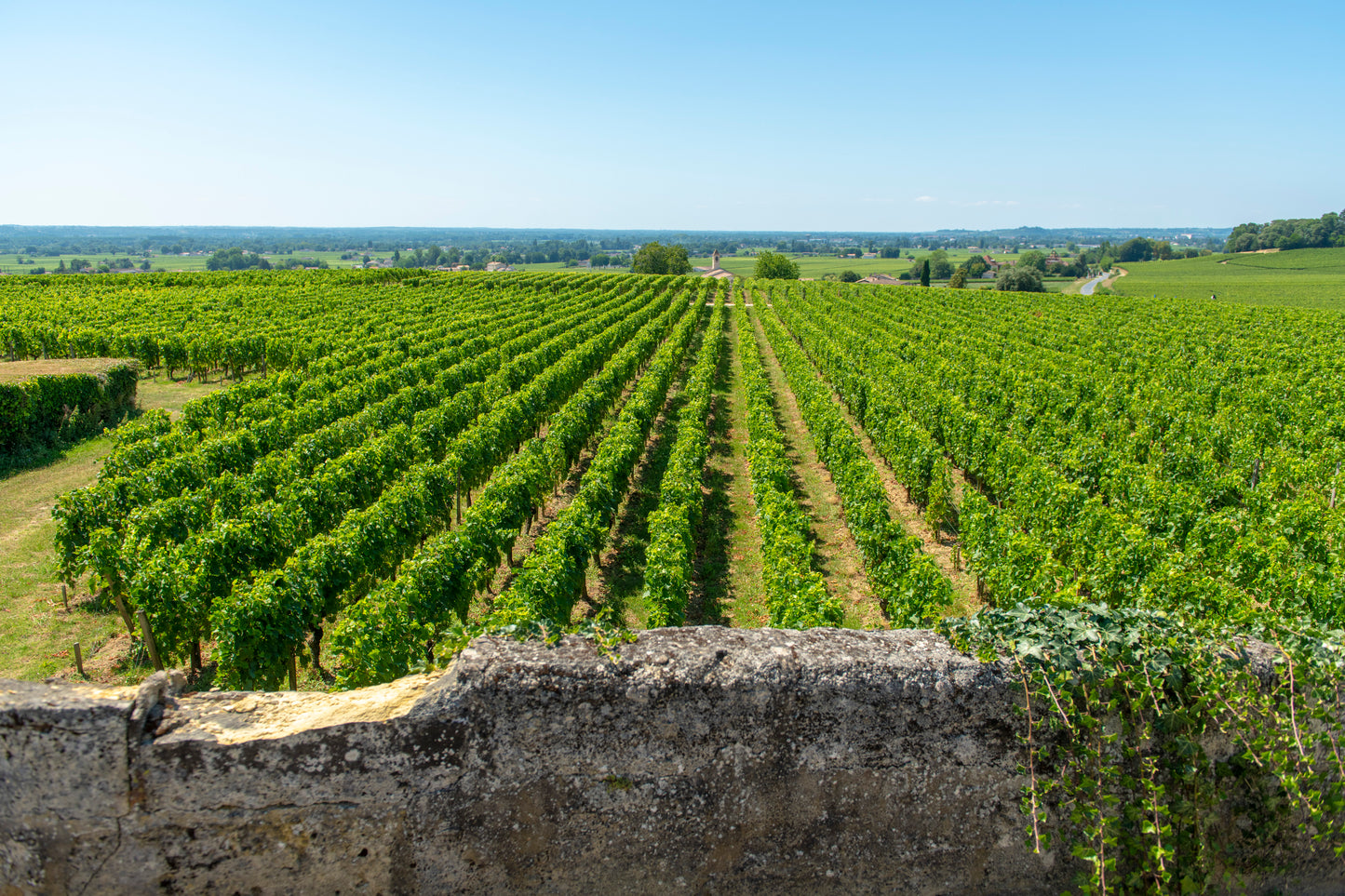 Self-Drive Wine & Cognac Adventure in Western France