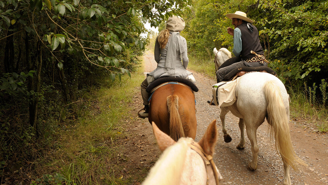 Bueno Aires, Argentina: Gaucho Horseback Adventure in the Pampas