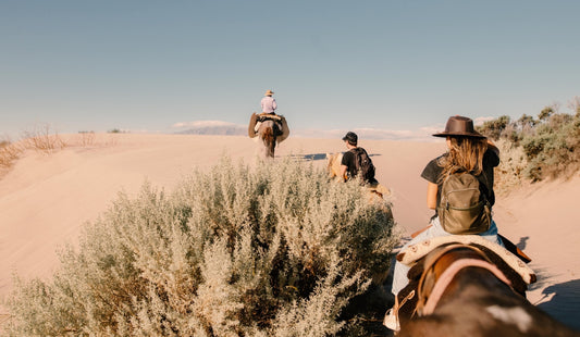 Cafayate: Horseback Riding With Wine And Cheese Tasting At Bodega El Esteco