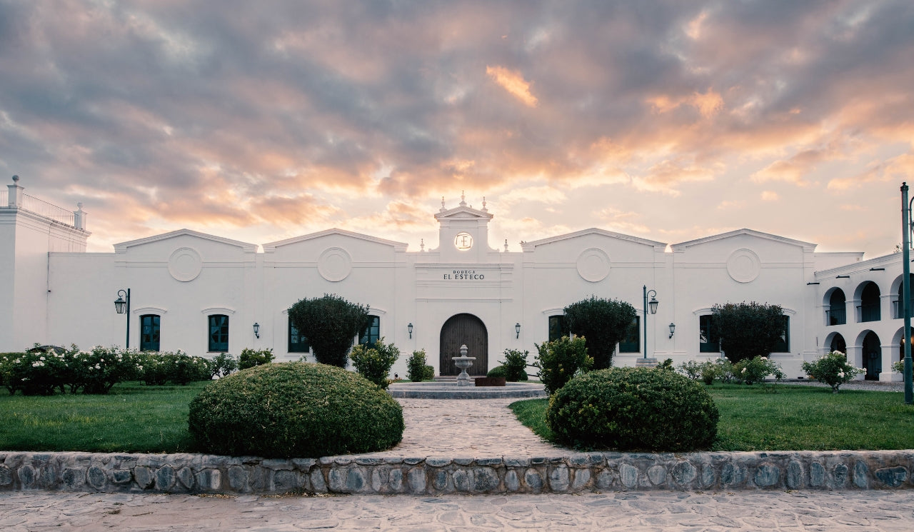 Cafayate: Horseback Riding With Wine And Cheese Tasting At Bodega El Esteco