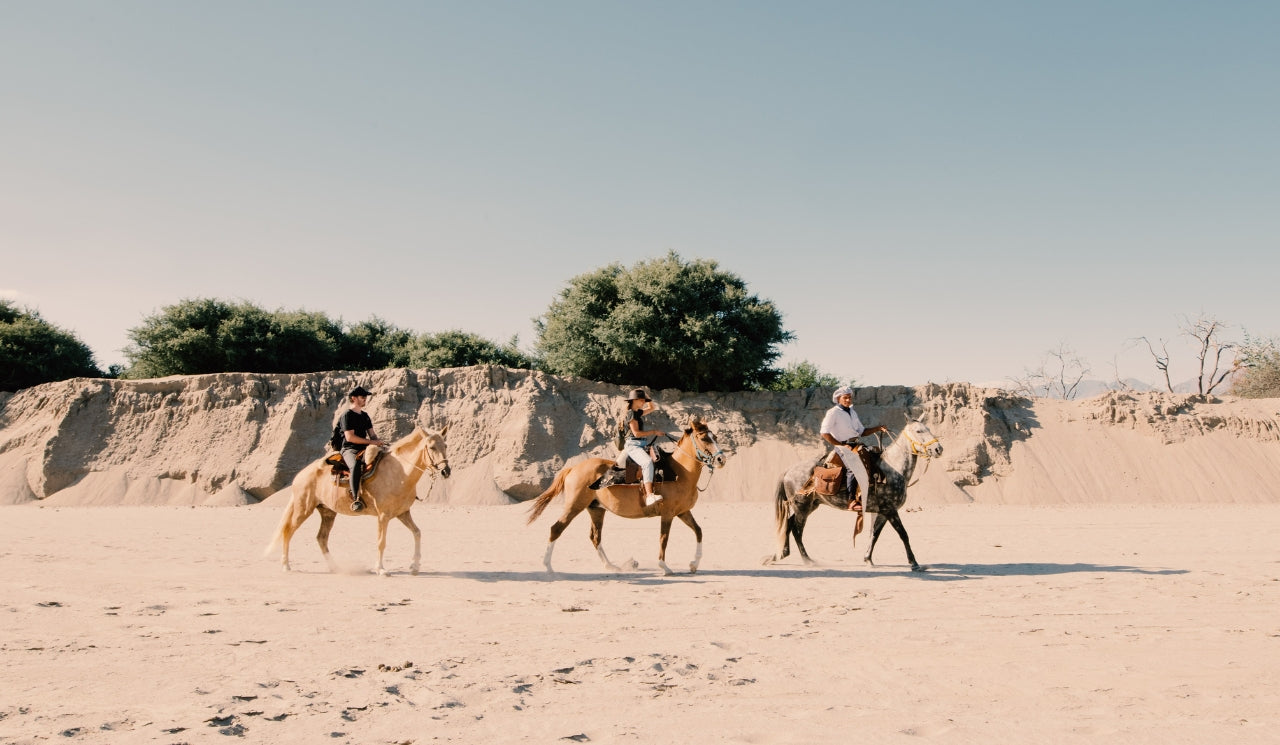 Cafayate: Horseback Riding With Wine And Cheese Tasting At Bodega El Esteco