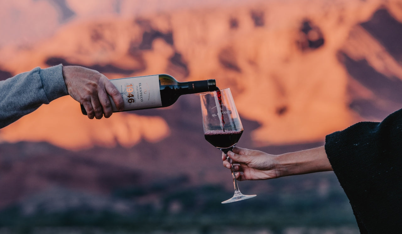 Cafayate: Horseback Riding With Wine And Cheese Tasting At Bodega El Esteco