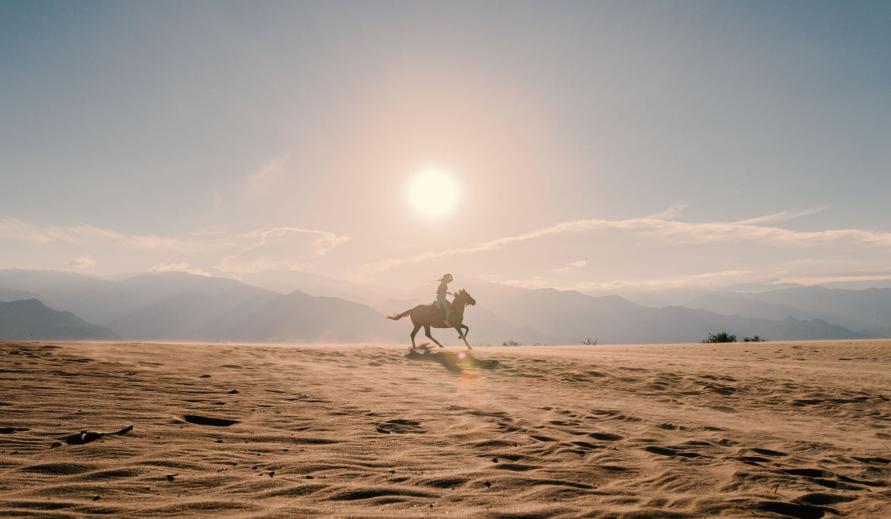 Cafayate: Horseback Riding With Wine And Cheese Tasting At Bodega El Esteco