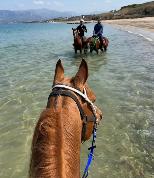 Sicily: 4-Hour Coastal Horse Ride + Lunch or Aperitivo + Photo Service (Experienced Riders)