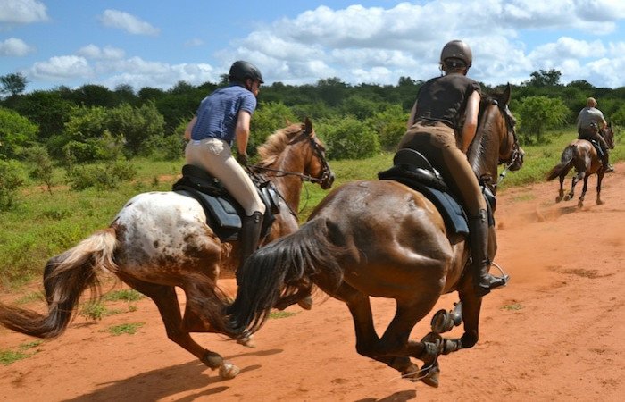 Western Cape: Thundering Hooves Horseback Ride + Brunch + Pick-Up Available