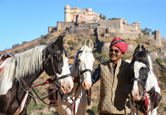 Aravalli Hills: 2.5-Hour Marwari Horse Adventure