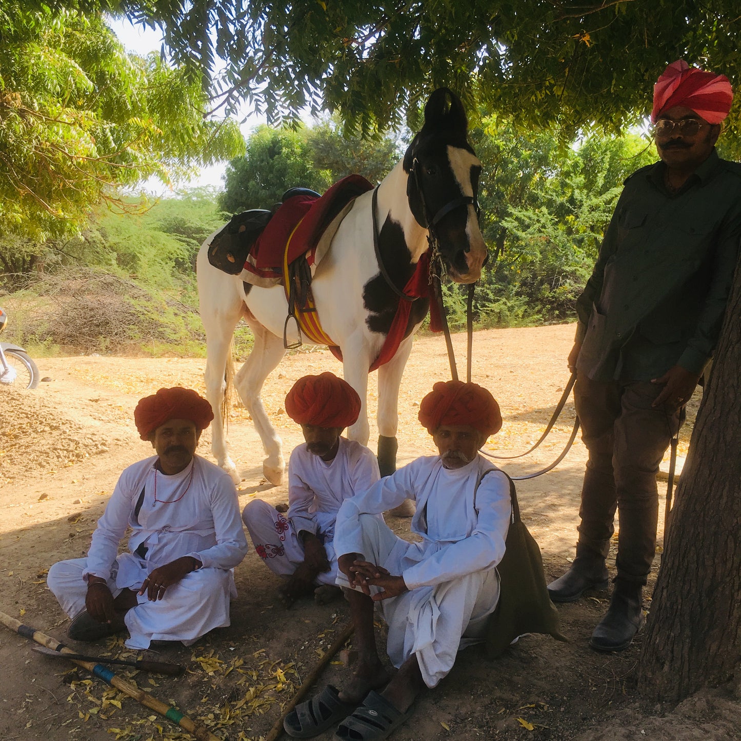Aravalli Hills: 5-Hour Marwari Horse Adventure + Picnic Lunch