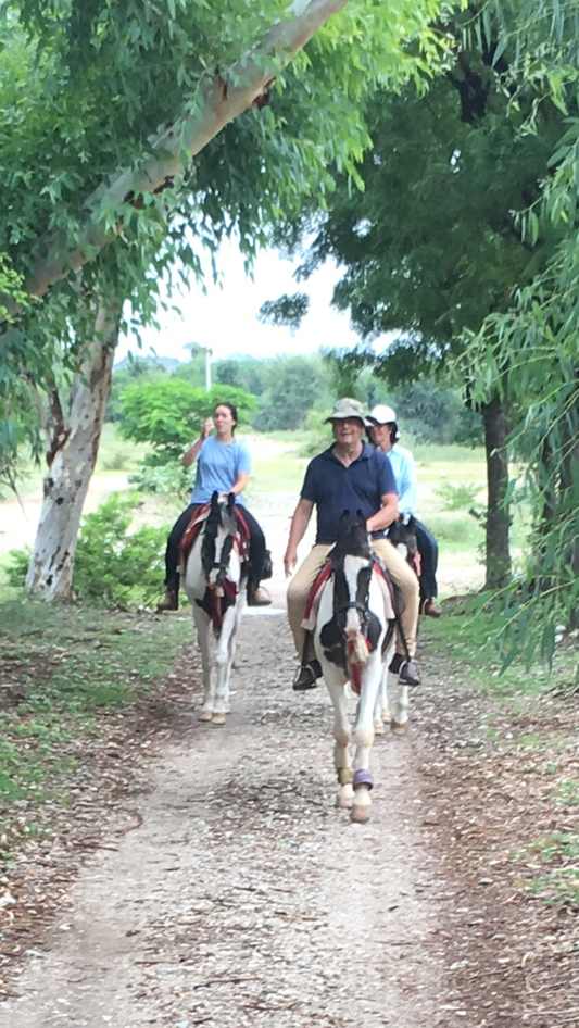 Aravalli Hills: 5-Hour Marwari Horse Adventure + Picnic Lunch