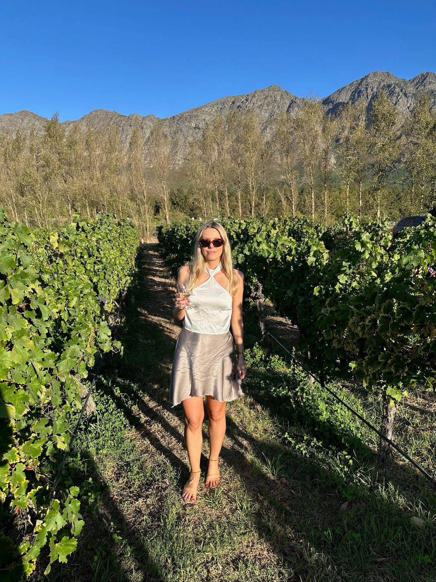From Cape Town: Private Wine Tour to Stellenbosch & Franschhoek