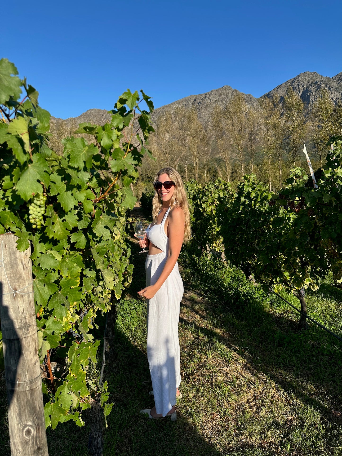 From Cape Town: Private Wine Tour to Stellenbosch & Franschhoek
