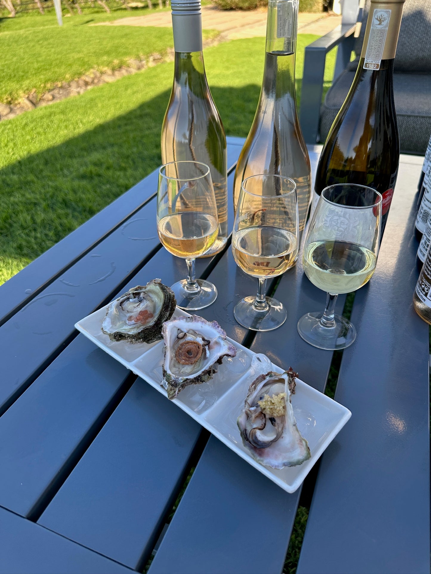 From Cape Town: Private Wine Tour with Two Tastings