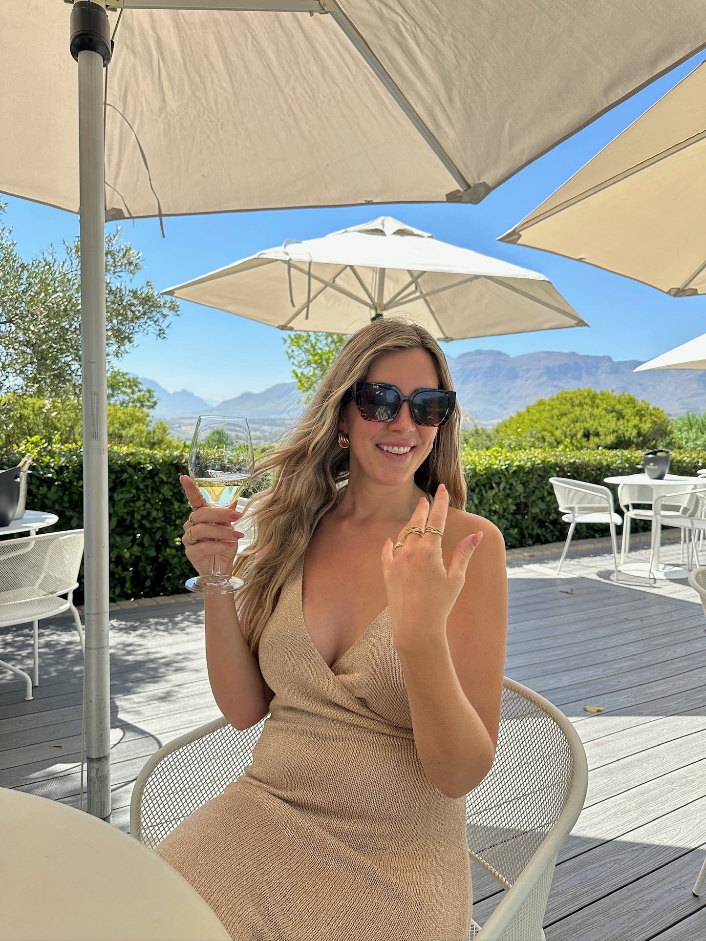 From Cape Town: Private Wine Tour with Two Tastings