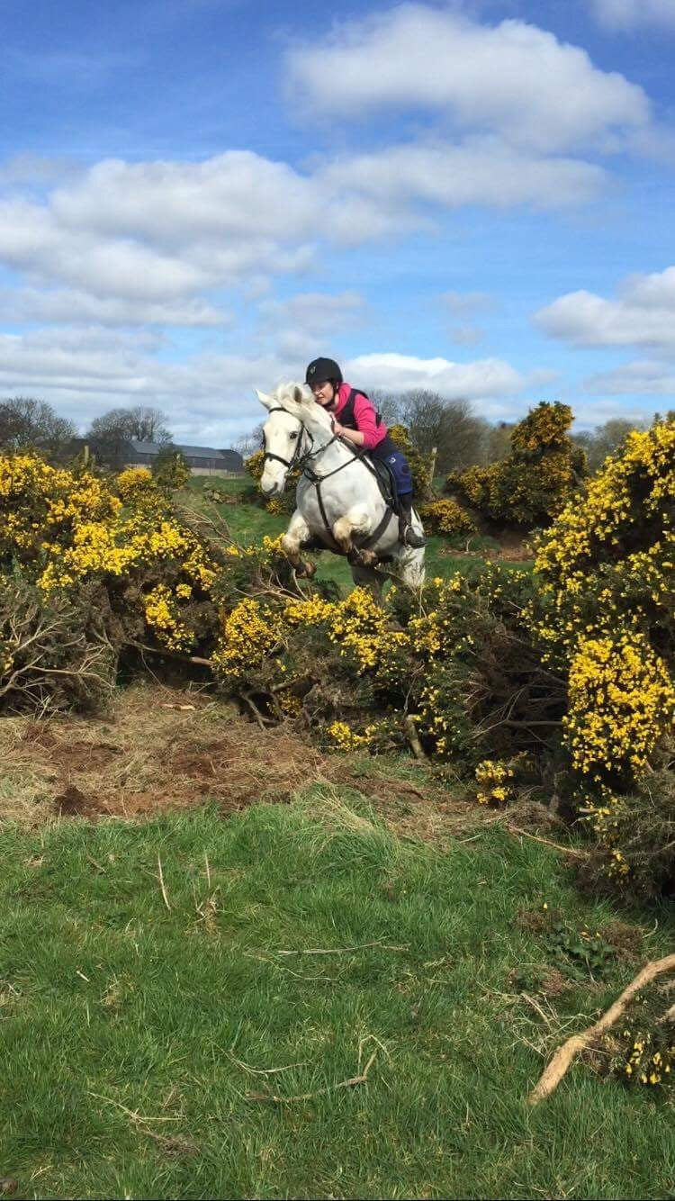 North Antrim: Private Horseback Ride Jumper Quest + Pick-up Available
