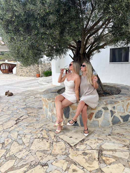 Barcelona: Wine Tasting with Traditional Tapas Appetizers + Vineyard Visit + Harvest + Traditional Grape Stomping