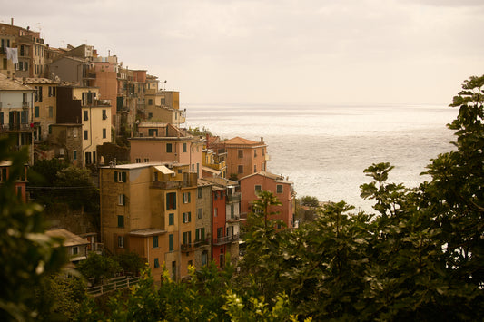 Cinque Terre & Vineyard Tour from Florence