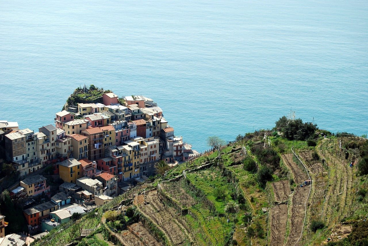 Cinque Terre & Vineyard Tour from Florence