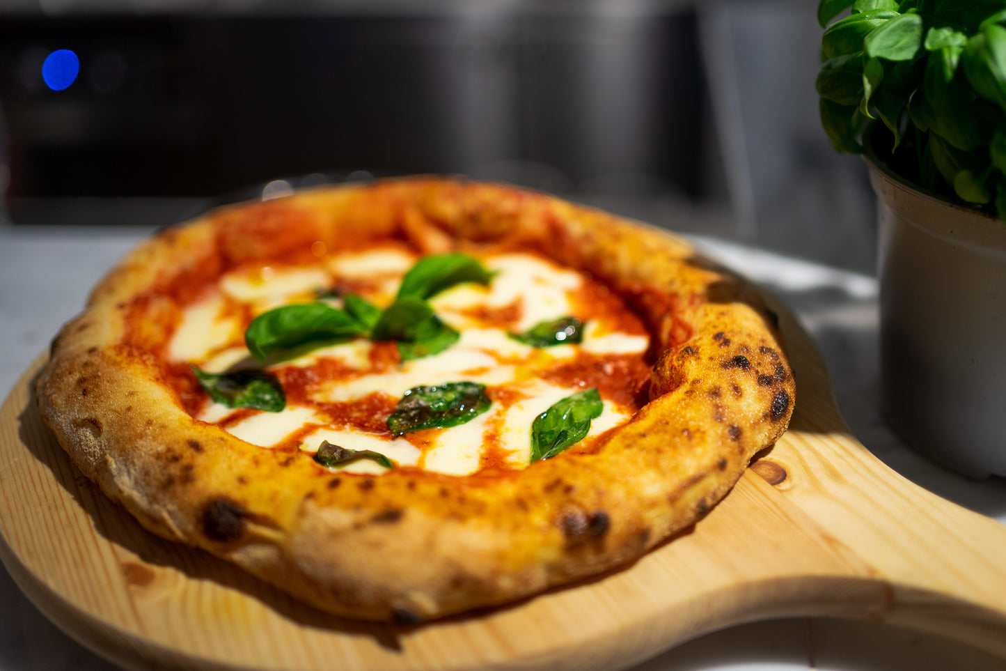 Pizza & Gelato cooking class in Florence