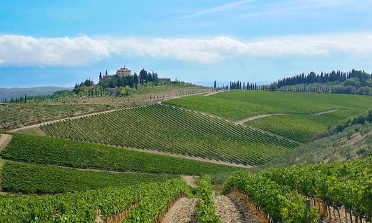 Private Tuscany Wine Tasting