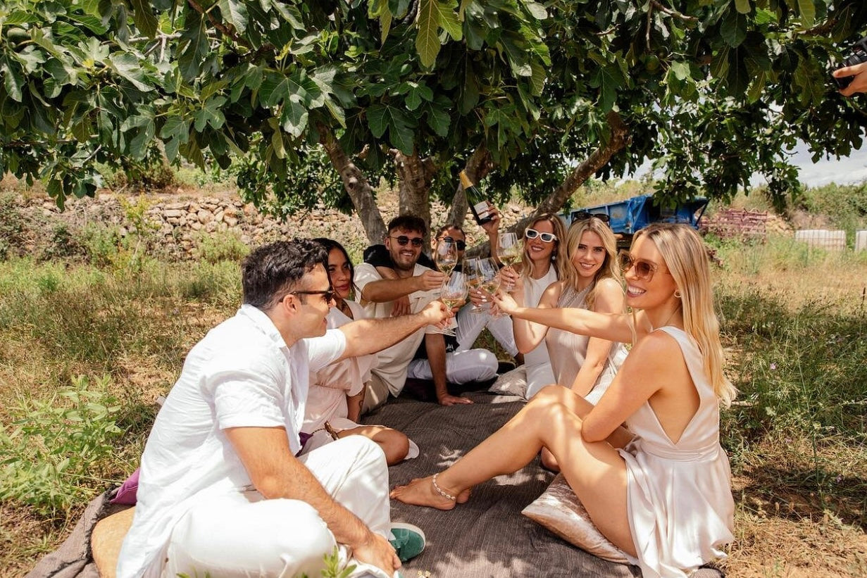From Cape Town: Private Vineyard Horseback Ride & Wine Picnic