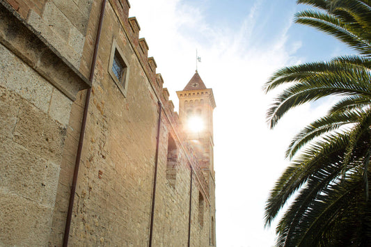 Tuscany: Bolgheri Upside Down Red Wine Tour