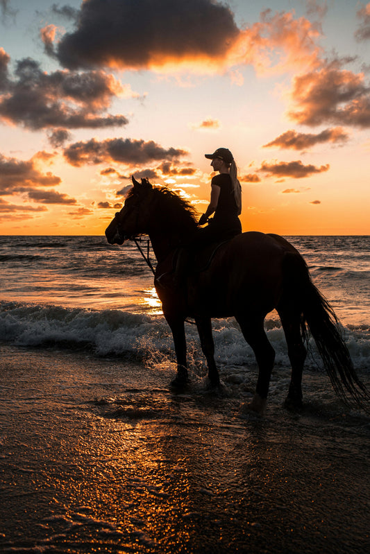 From Cape Town: Horseback Riding on Noordhoek Beach