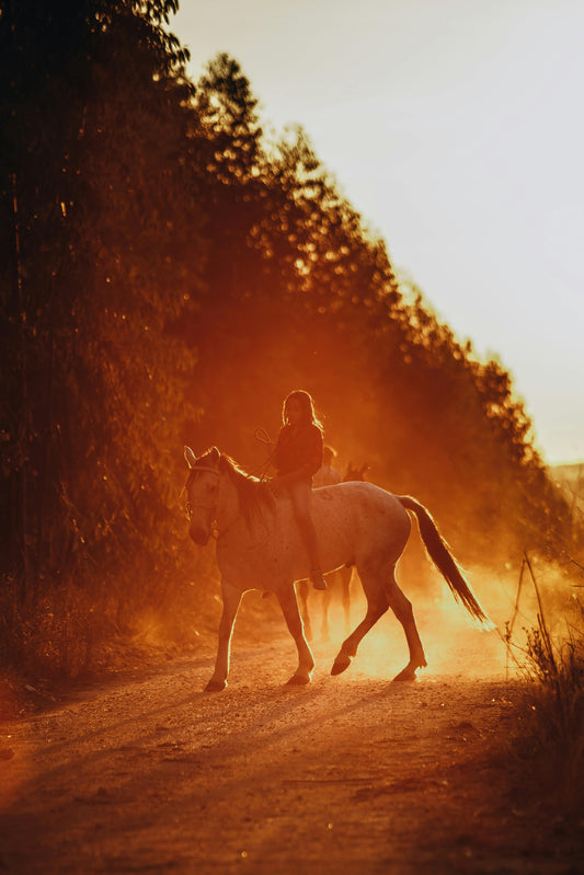 Formentera: Private Horseback Ride Adventure
